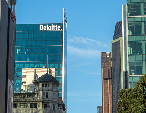 Deloitte - case history